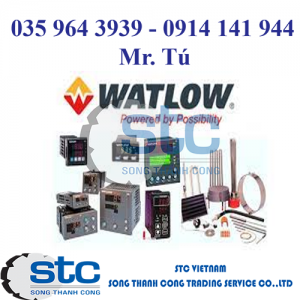 Watlow 2136-4541 Đầu dò nhiệt độ Watlow Vietnam
