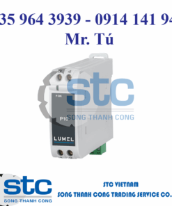 P10 2H55H000000M0 -  Bộ hiển thị kỹ thuật số - Lumel