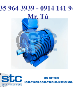 KMI-15HQ1, KMI-01HT1 – Động cơ điện – Higen