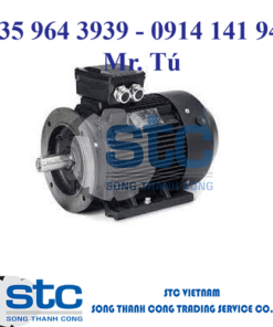 MS 112M1 2p B3 IE1 Động cơ HOYER Vietnam