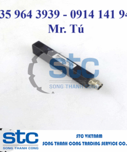 Baumer FSDM 08D9001 Cảm biến Baumer Vietnam