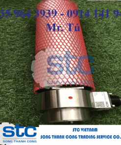 FMS RMGZ9-250-69.E.500.H14 Cảm biến lực căng FMS Vietnam
