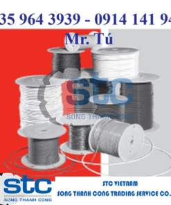 Watlow S12DDS4C048A Đầu dò nhiệt độ Watlow Vietnam
