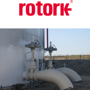 IQM12 F10 B3 Bộ truyền động Rotork Vietnam