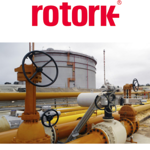 IQM25 F14 B3 Bộ truyền động Rotork Vietnam
